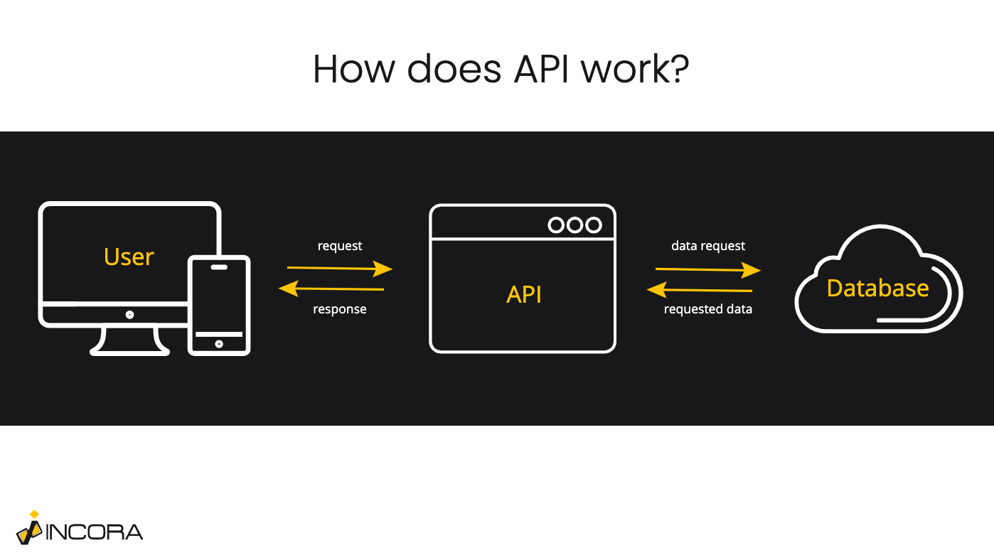 what-is-the-difference-between-api-and-plugin-case-studies-digest